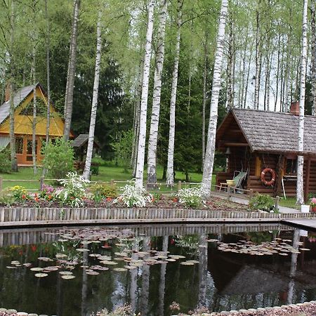 Holiday Home Berzlejas Upesgriva Ngoại thất bức ảnh